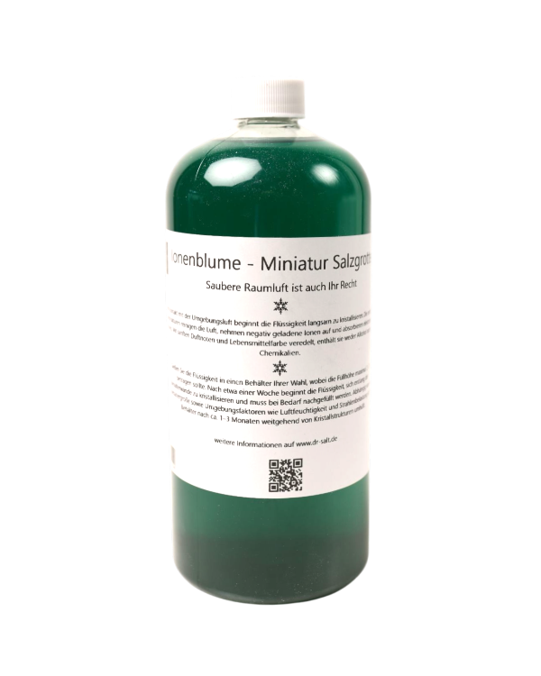 Ionenblume (Miniatur Salzgrotte) 1000ml