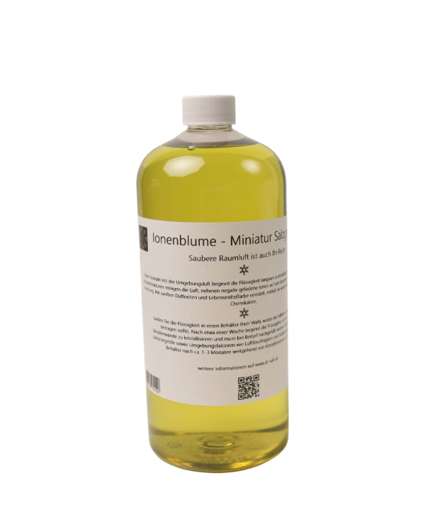 Ionenblume (Miniatur Salzgrotte) 1000ml