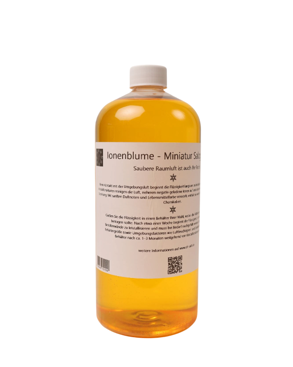 Ionenblume (Miniatur Salzgrotte) 1000ml